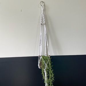 Macrame white plant hanger